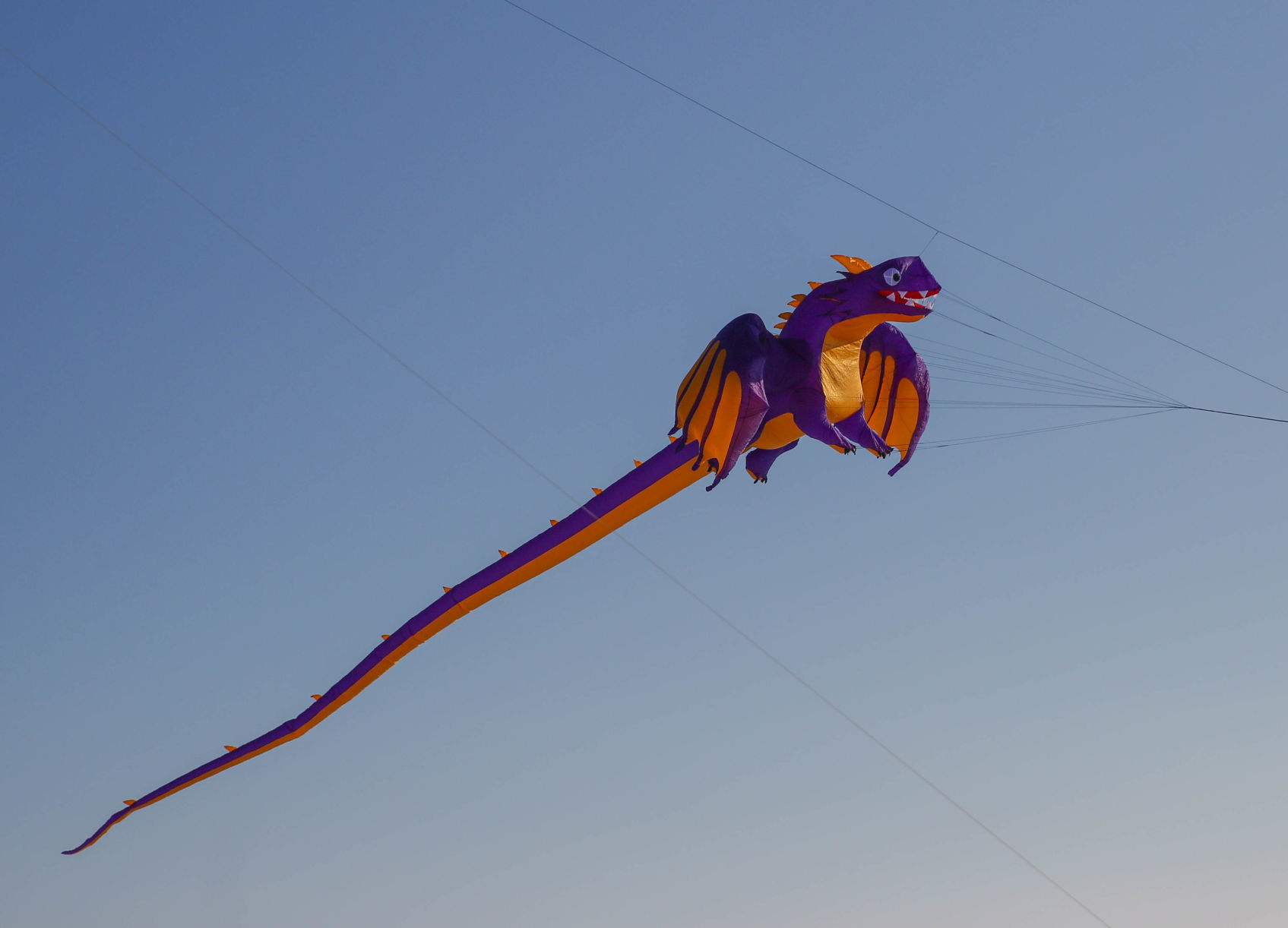 Color the Wind kite festival 02-15-2020 (46).jpg